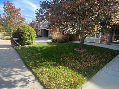 Lawn Care service in Greenwood Village, 80121