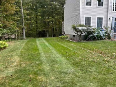 Lawn Care service in Coventry, 06238