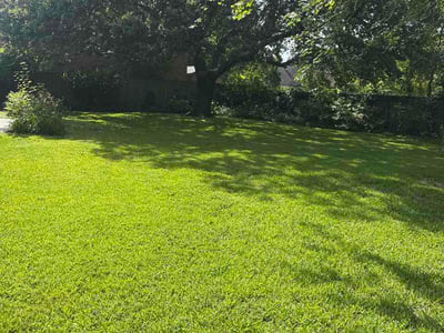 Lawn Care service in Orange, 77630