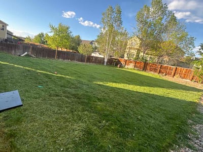 Lawn Care service in Coventry, 06238