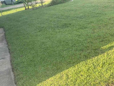 Lawn Care service in ,