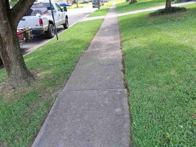 Lawn Care service in Atlantic City, 08401