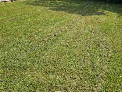 Lawn Care service in Johnson City, 37604