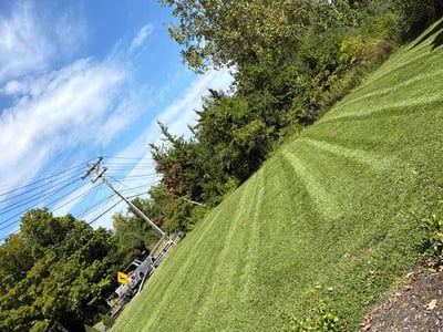 Lawn Care service in Berlin, 06037