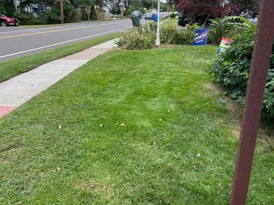 Lawn Care service in Berlin, 06037