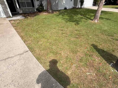 Lawn Care service in Hilton Head Island, 29926