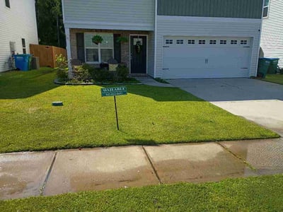 Lawn Care service in Hilton Head Island, 29926