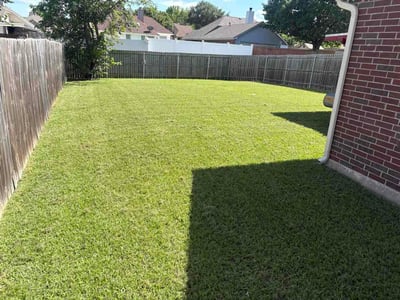 Lawn Care service in Sunnyvale, 75182