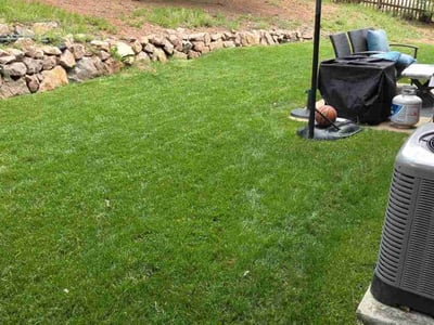 Lawn Care service in Peyton, 80831