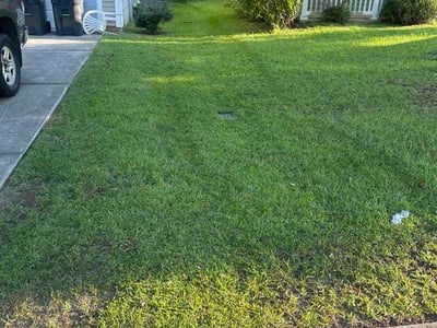 Lawn Care service in Hilton Head Island, 29926