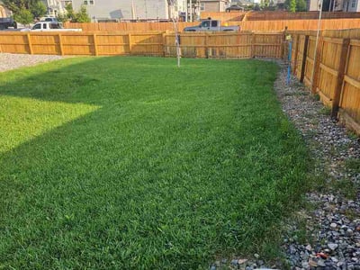 Lawn Care service in Greeley, 80631