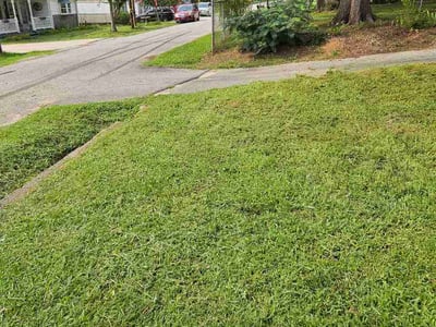 Lawn Care service in ,
