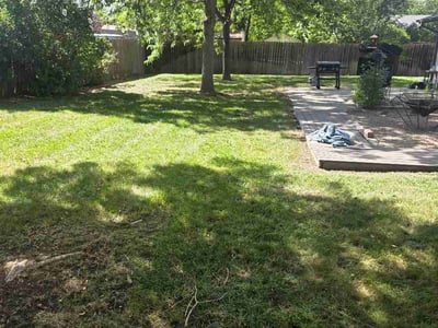 Lawn Care service in ,
