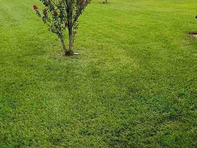 Lawn Care service in Foley, 36535