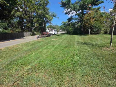 Lawn Care service in Nolensville, 37135
