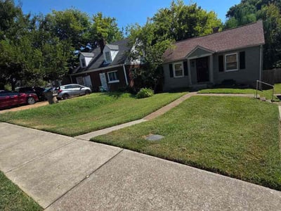Lawn Care service in Nolensville, 37135