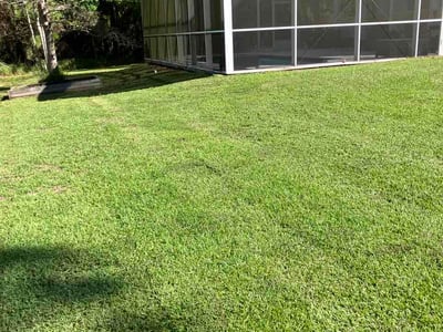 Lawn Care service in ,