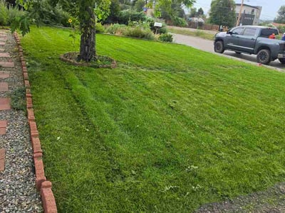 Lawn Care service in Westminster, 80030