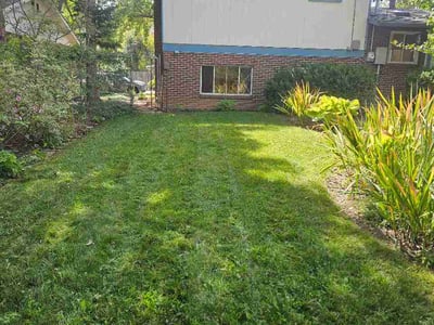 Lawn Care service in Louisville, 80027