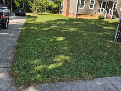 Lawn Care service in Asheboro, 27203