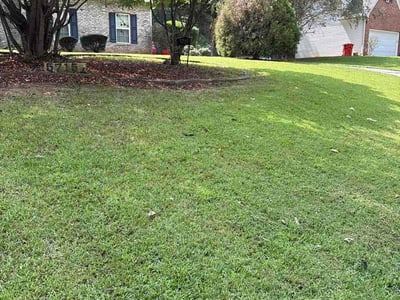 Lawn Care service in Ellington, 06029
