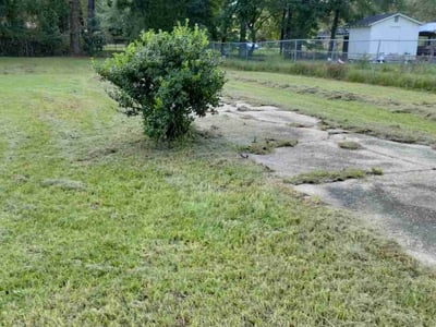 Lawn Care service in Gulf Shores, 36542