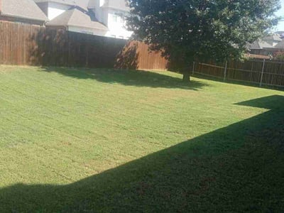 Lawn Care service in Roanoke, 76262