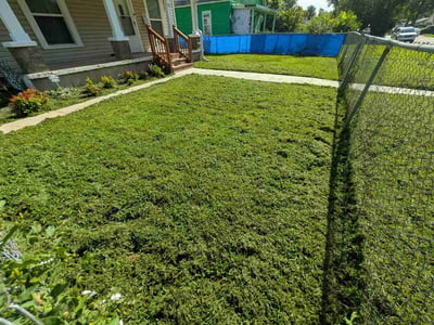 Lawn Care service in Lafayette, 80026