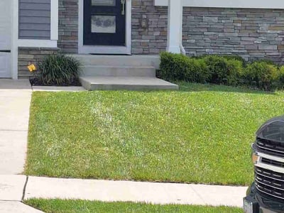 Lawn Care service in Owings Mills, 21117