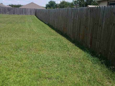 Lawn Care service in Coppell, 75019