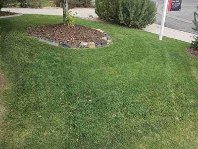 Lawn Care service in Parker, 80138