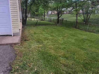 Lawn Care service in Hobart, 46342