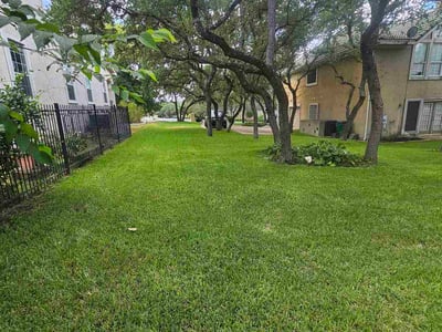 Lawn Care service in Lockhart, 78644