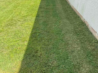 Lawn Care service in Niceville, 32578