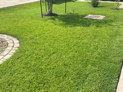 Lawn Care service in College Station, 77840
