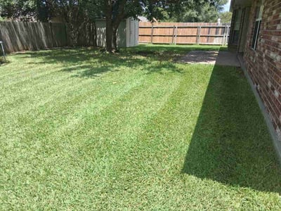 Lawn Care service in College Station, 77840