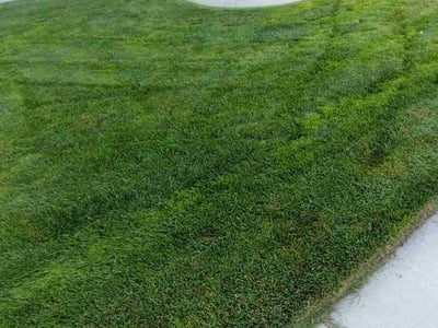 Lawn Care service in Caldwell, 83605
