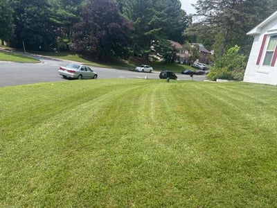 Lawn Care service in Frederick, 21701