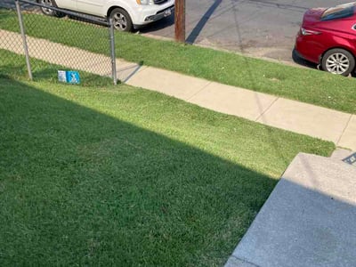 Lawn Care service in Frederick, 21701