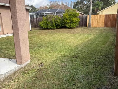 Lawn Care service in Santa Barbara, 93101