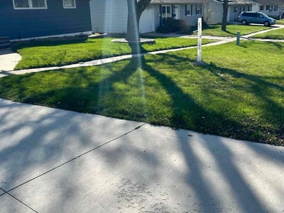 Lawn Care service in ,