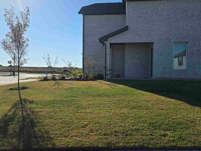 Lawn Care service in Stamford, 06901