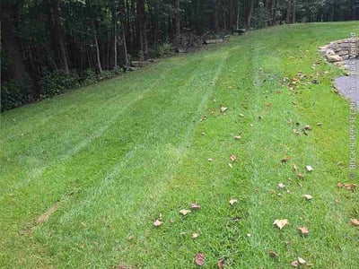 Lawn Care service in Lebanon, 45036