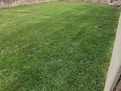 Lawn Care service in San Benito, 78586