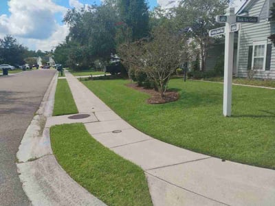 Lawn Care service in Aiken, 29801