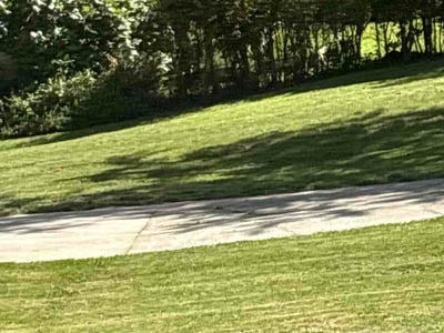 Lawn Care service in Aiken, 29801