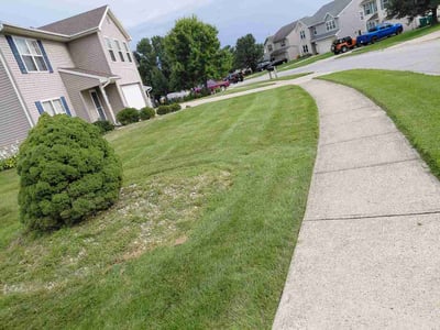Lawn Care service in Lowell, 46356
