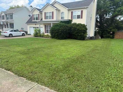 Lawn Care service in Woodbury, 37190