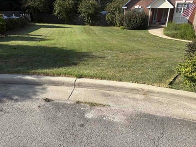 Lawn Care service in North Augusta, 29841