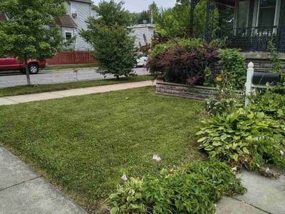 Lawn Care service in Demotte, 46310